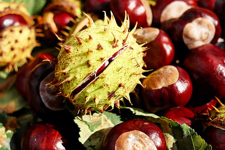 yellow and red dragon fruit thumbnail