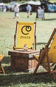 seat, chair, deckchair, bottle thumbnail