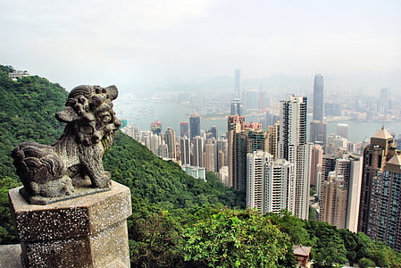 animal statue under white clouds thumbnail
