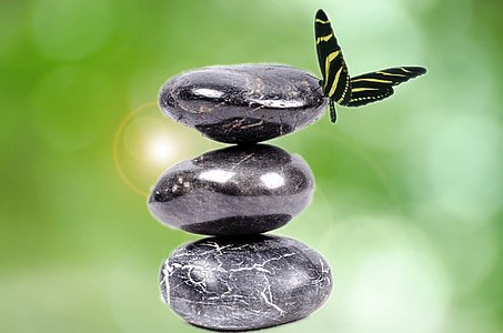 black and green longwing butterfly on three black stones thumbnail