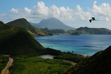 bird flying alone above mountain and body of water thumbnail