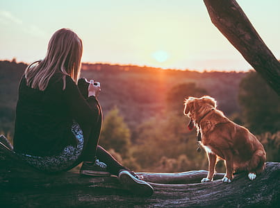 woman holding black DSLR camera sitting on tree branch beside fawn dog during sunset thumbnail
