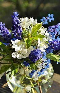 selective focus white and purple petaled flowers thumbnail