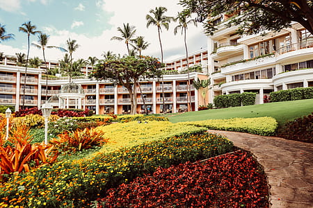 yellow and red flower garden near white concrete buildings at daytime thumbnail