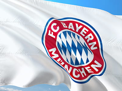 FC Bayern Munchen flag thumbnail