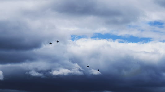 four birds flying and white clouds during daytime thumbnail