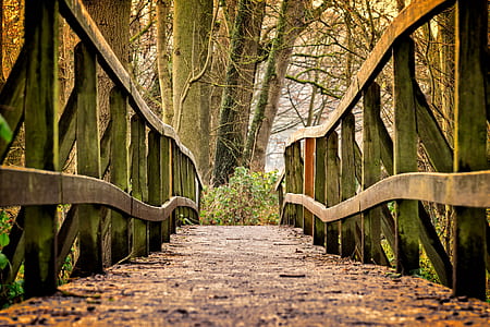 brown wooden bridge thumbnail