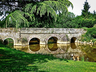 reflection of brick bridge on body of water thumbnail