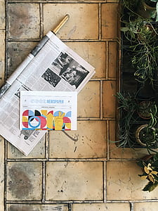 peoples newspaper near green plants thumbnail