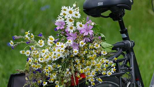 white, purple, and green flowers on bicycle basket at daytime thumbnail