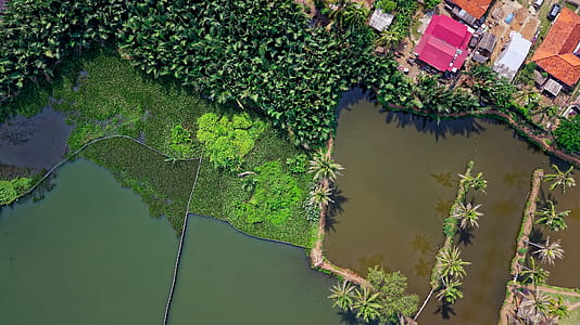 Aerial Photography of Body of Water thumbnail