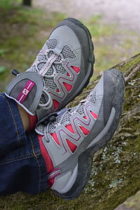 Person Wearing Gray and Pink Skechers Running Shoes thumbnail