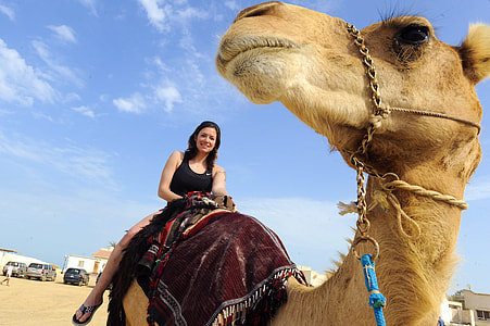 woman riding on fawn camel during daytime thumbnail