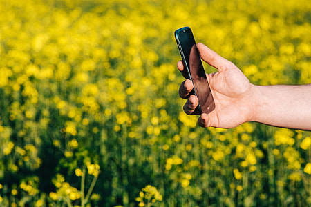 Laptop computer, mobile phone and spring rapes field thumbnail