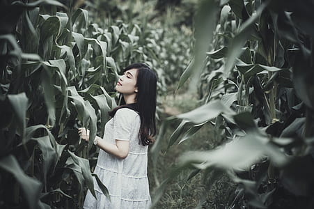 photo of woman wearing gray dress at the corn field thumbnail