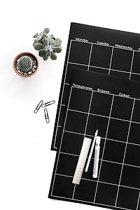 Green Succulent Plant Beside Black Planner thumbnail