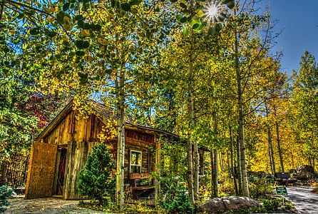 photography of brown house surrounded by green leaf trees during daytime thumbnail
