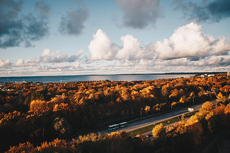 Aerial Photo of Car on the Road Surrounded by Brown Trees Under Alto Cumulus Clouds and Clear Blue Sky thumbnail