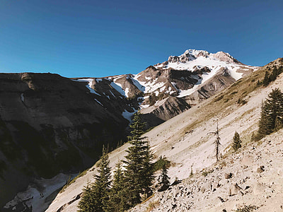 photo of tree near mountain thumbnail