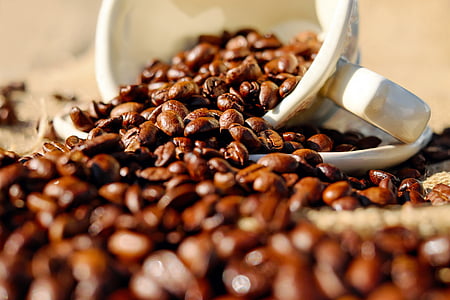 selective focus photography of spilled cup of coffee beans thumbnail