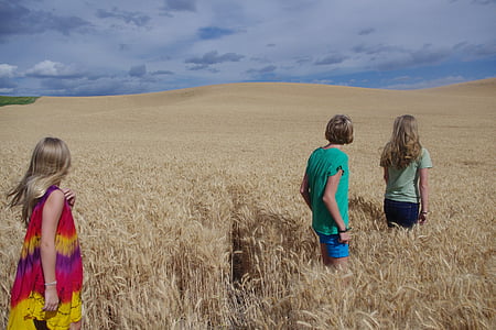 women walking on wheat field during daytime thumbnail