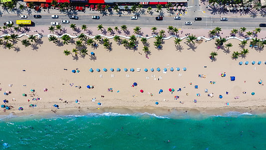 aerial view of people under umbrellas near seashore thumbnail