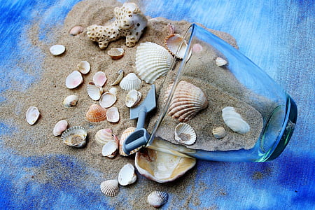 close up photo of clear drinking glass near sand full of seashell thumbnail