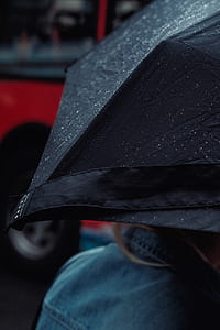 umbrella, raining, rain, car thumbnail
