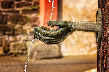 selective focus photography of begging hand bust thumbnail
