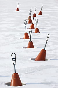orange sea floater on ice thumbnail