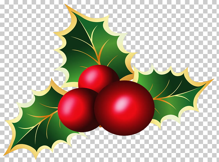 mistletoe christmas viscum album transparent christmas mistletoe maple leaf and cherry illustration png clipart - Mistletoe Christmas Decoration mistletoe christmas viscum album transparent christmas mistletoe maple leaf and cherry illustration png clipart - Mistletoe Christmas Decoration