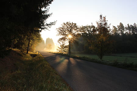 cleared road near trees during daytime thumbnail