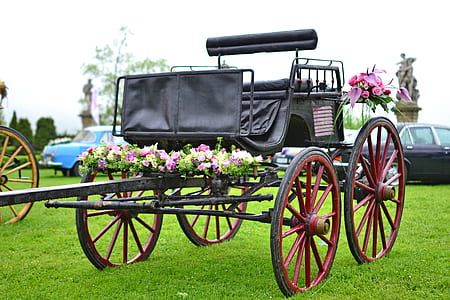 wood, cars, vehicles, flowers thumbnail