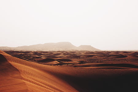 desert with fog thumbnail