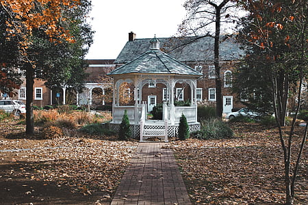 white gazebo near tree thumbnail