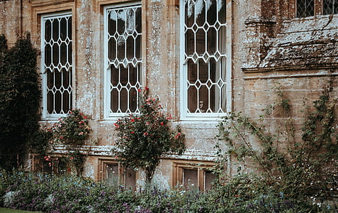 brown concrete house with closed window thumbnail