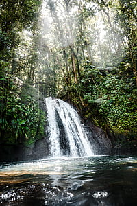 small waterfall surrounded by tall trees and green grass at daytime thumbnail