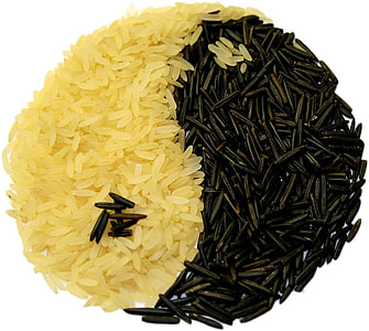 rice grains in yin-yang form art thumbnail