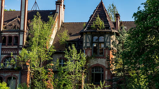 brown concrete house in front green trees under blue sky thumbnail