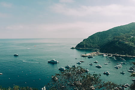 bay, boats, port, yachts thumbnail