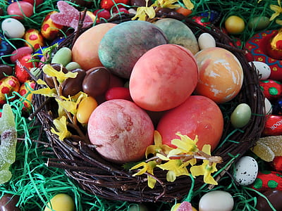 assorted-colored eggs on brown nest thumbnail