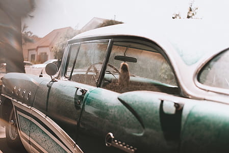 car, vehicle, vintage, luxury thumbnail