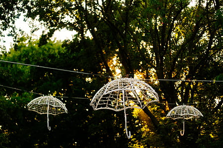 three white umbrellas hanging on white line thumbnail