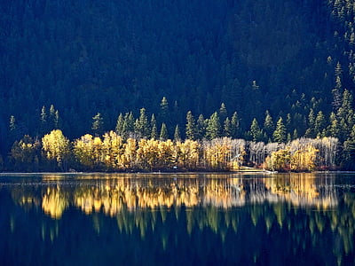 panoramic photography of trees with reflection in the water thumbnail