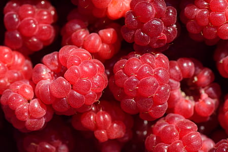 raspberries thumbnail