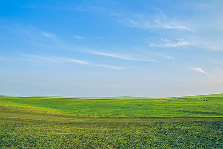 green grass lawn thumbnail