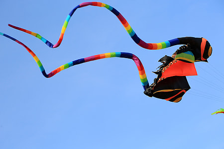 Ray Kite flying in the Sky thumbnail