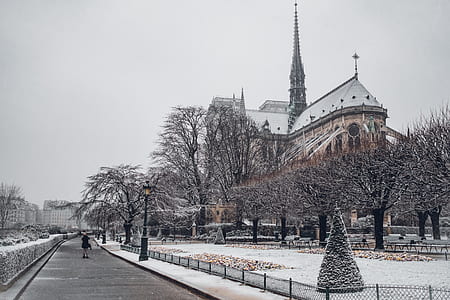 person in black jacket on gray concrete road during winter at daytime thumbnail