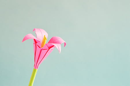 close-up photo of pink paper flower thumbnail