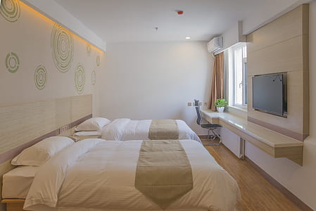 two white-and-brown bed comforter set inside room thumbnail